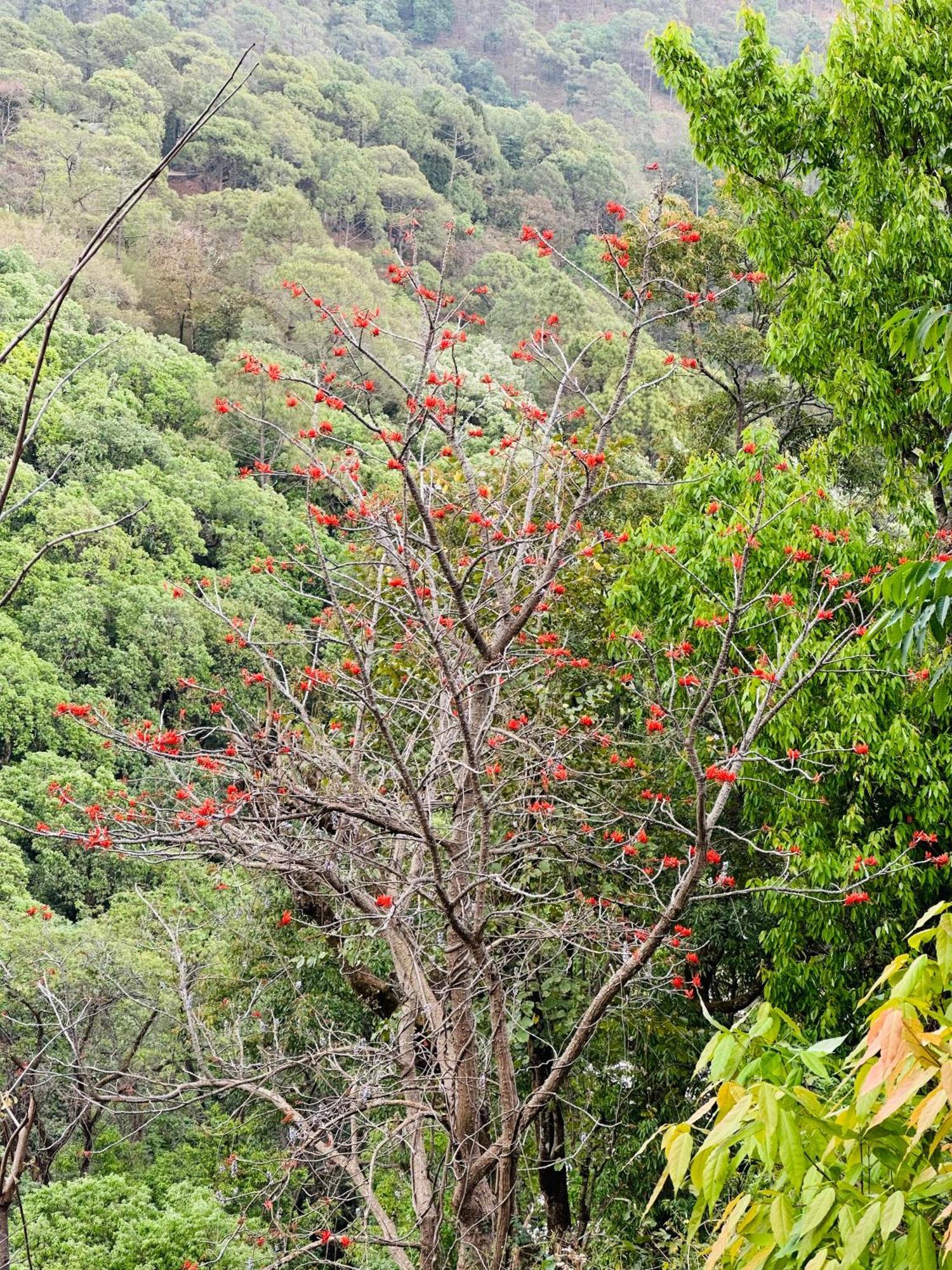 Incredible Birding Camp Apartment Bhimtal Exterior photo