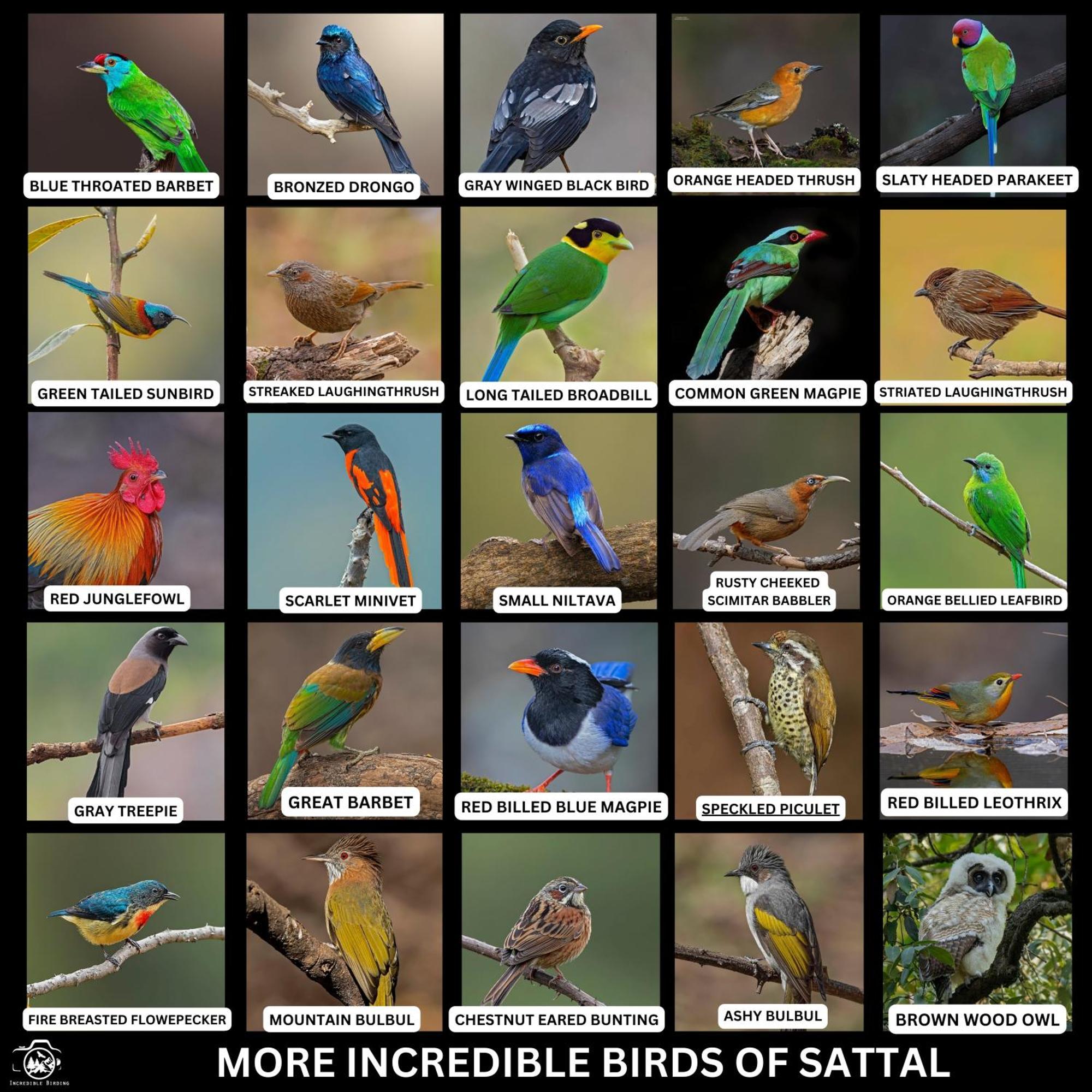 Incredible Birding Camp Apartment Bhimtal Exterior photo